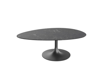 Alisse - Table basse irrégulière 