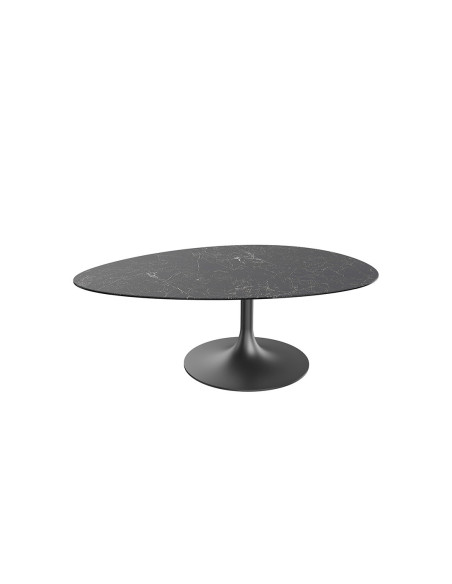Alisse - Table basse irrégulière 